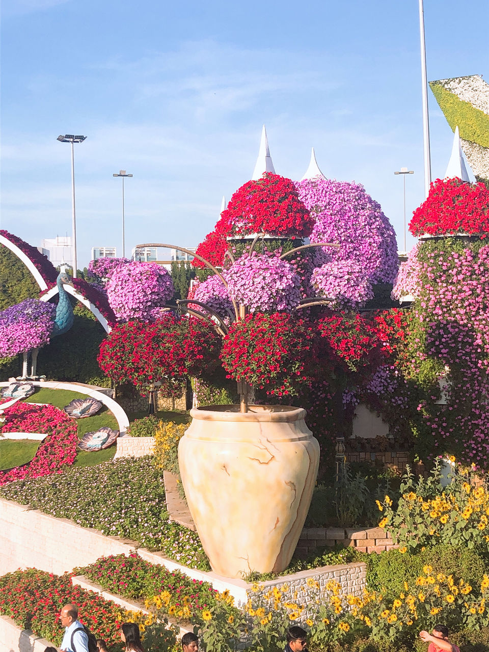 Photo of Dubai Miracle Garden - Dubai - United Arab Emirates by Vandana Goenka