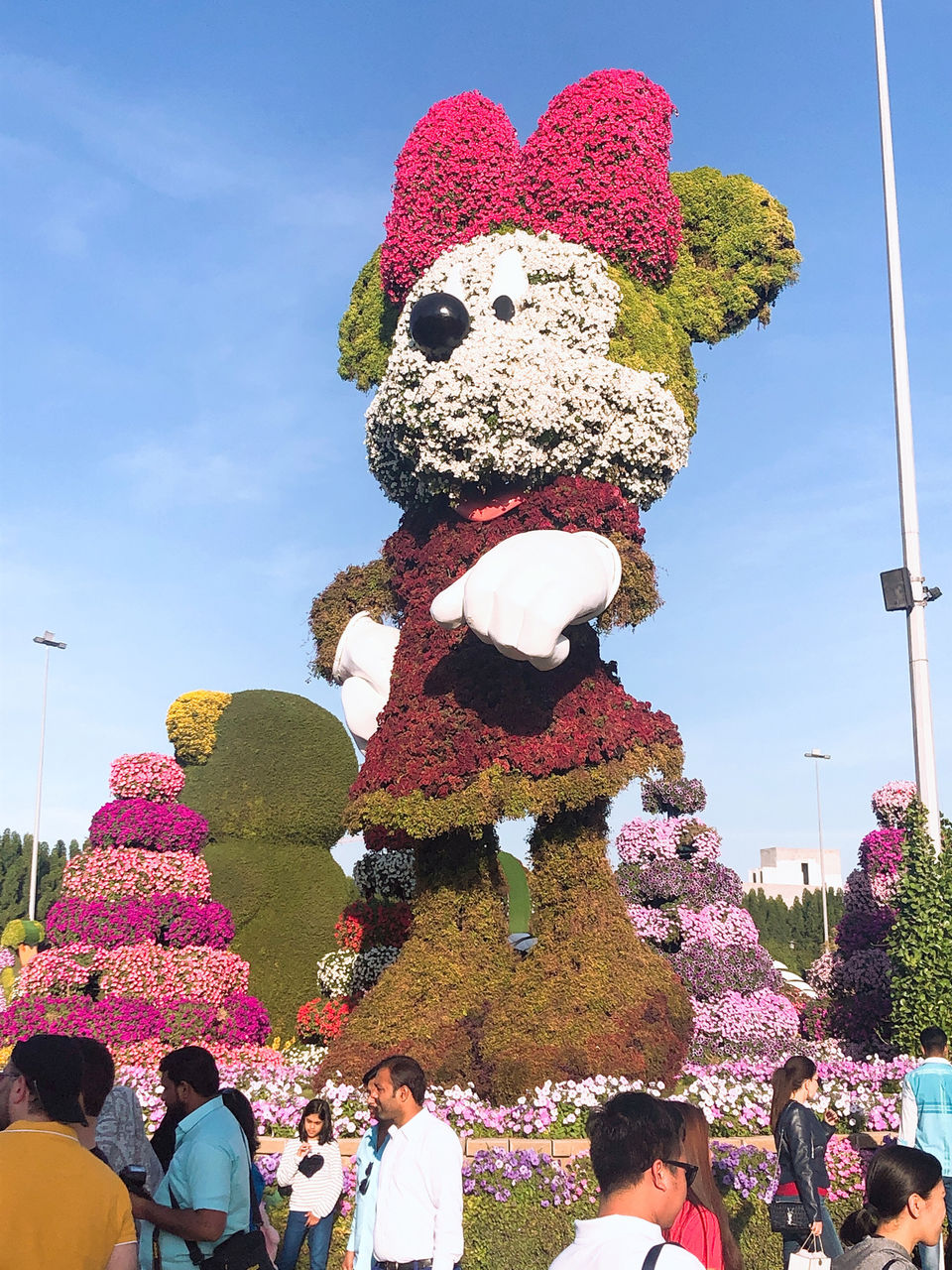 Photo of Dubai Miracle Garden - Dubai - United Arab Emirates by Vandana Goenka