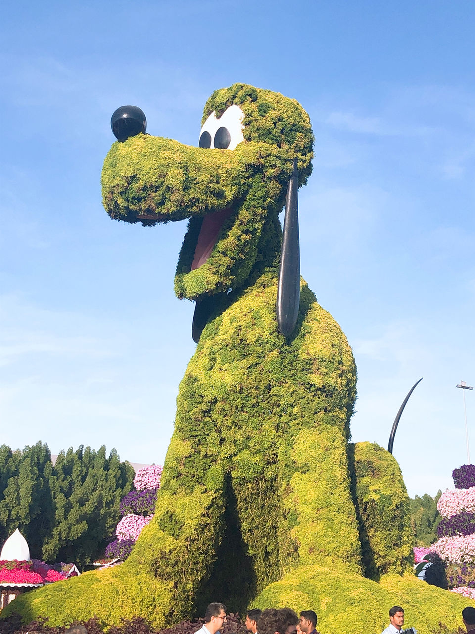 Photo of Dubai Miracle Garden - Dubai - United Arab Emirates by Vandana Goenka
