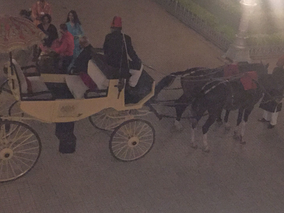 Photo of An Evening in The Taj Falaknuma Palace Hyderabad. by Vandana Goenka