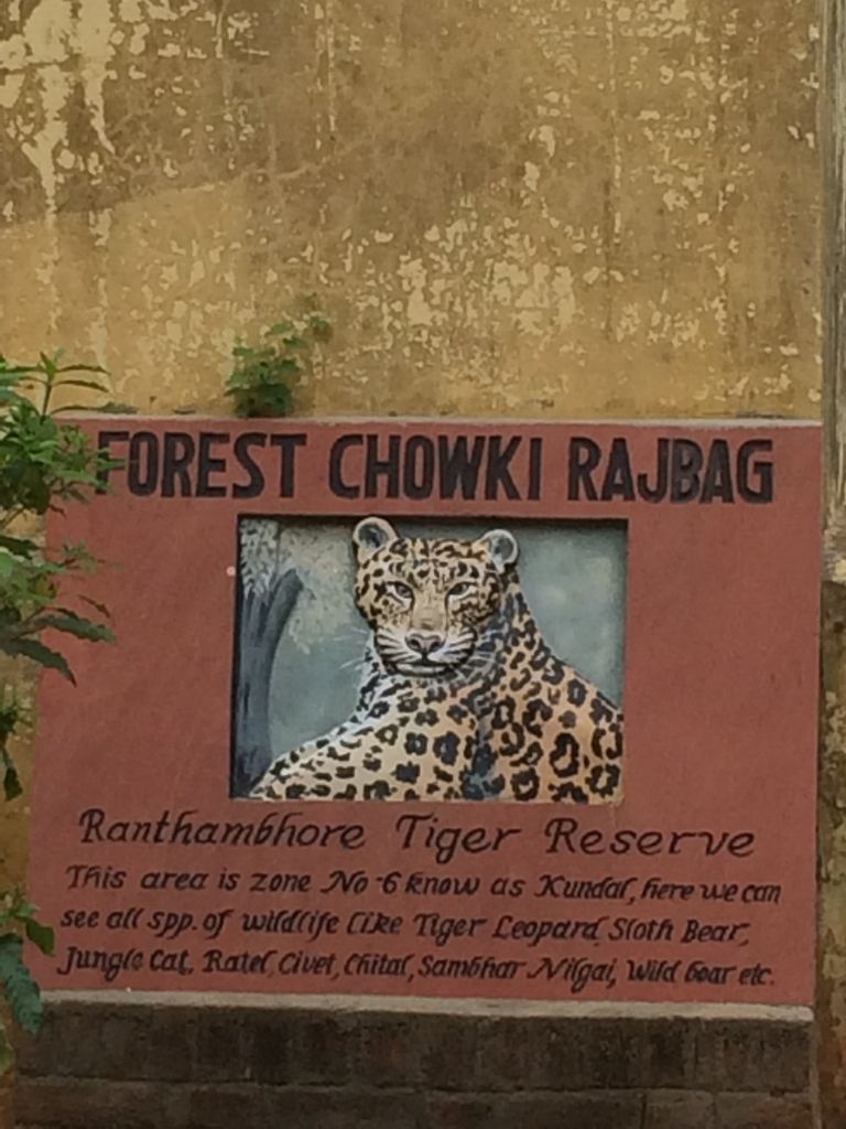 Photo of Ranthambore Tiger Reserve, Sawai Madhopur by Vandana Goenka