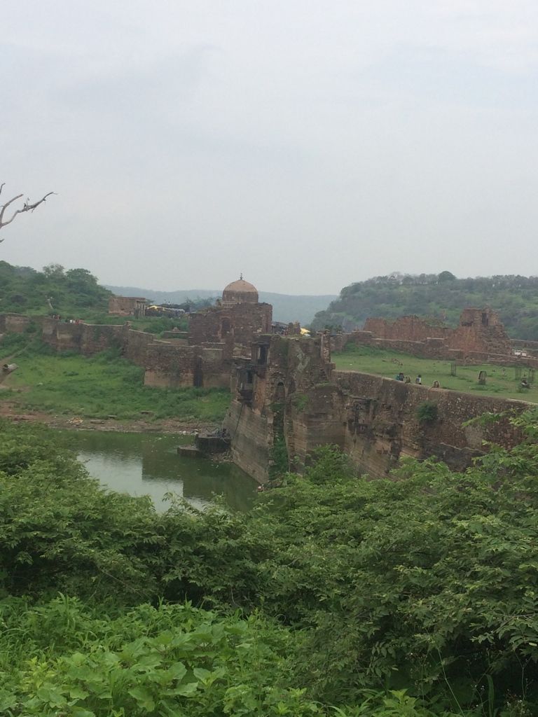 Photo of Ranthambore Tiger Reserve, Sawai Madhopur by Vandana Goenka