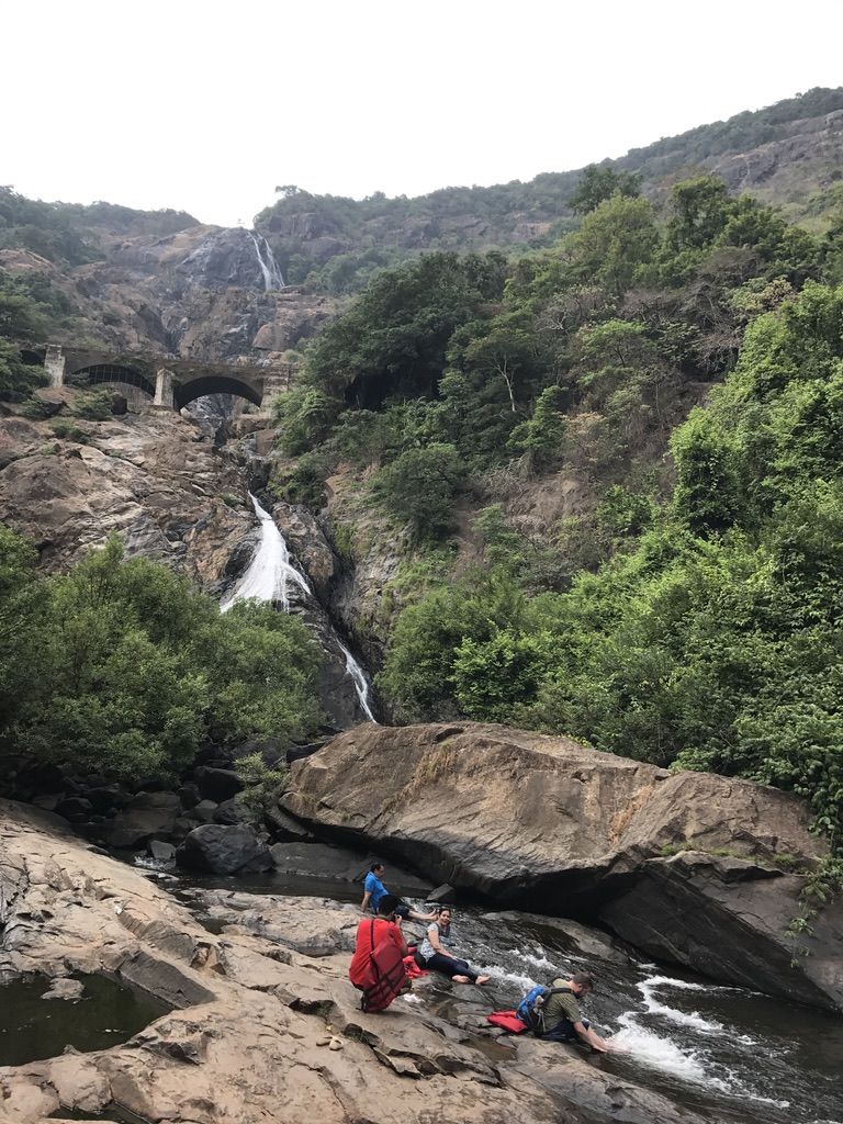 Photo of Dudhsagar Falls, Sonaulim, Goa, India by Vandana Goenka