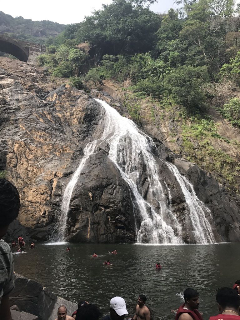 Photo of Dudhsagar Falls, Sonaulim, Goa, India by Vandana Goenka