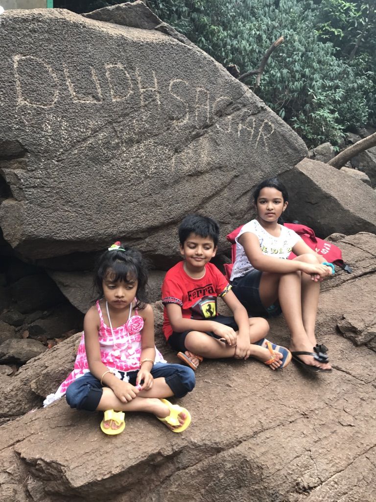 Photo of Dudhsagar Falls, Sonaulim, Goa, India by Vandana Goenka