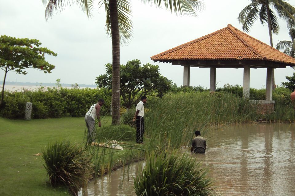 Photo of A weekend spent at the bank of River Ganga....Ganga Kutir Resort by Vandana Goenka