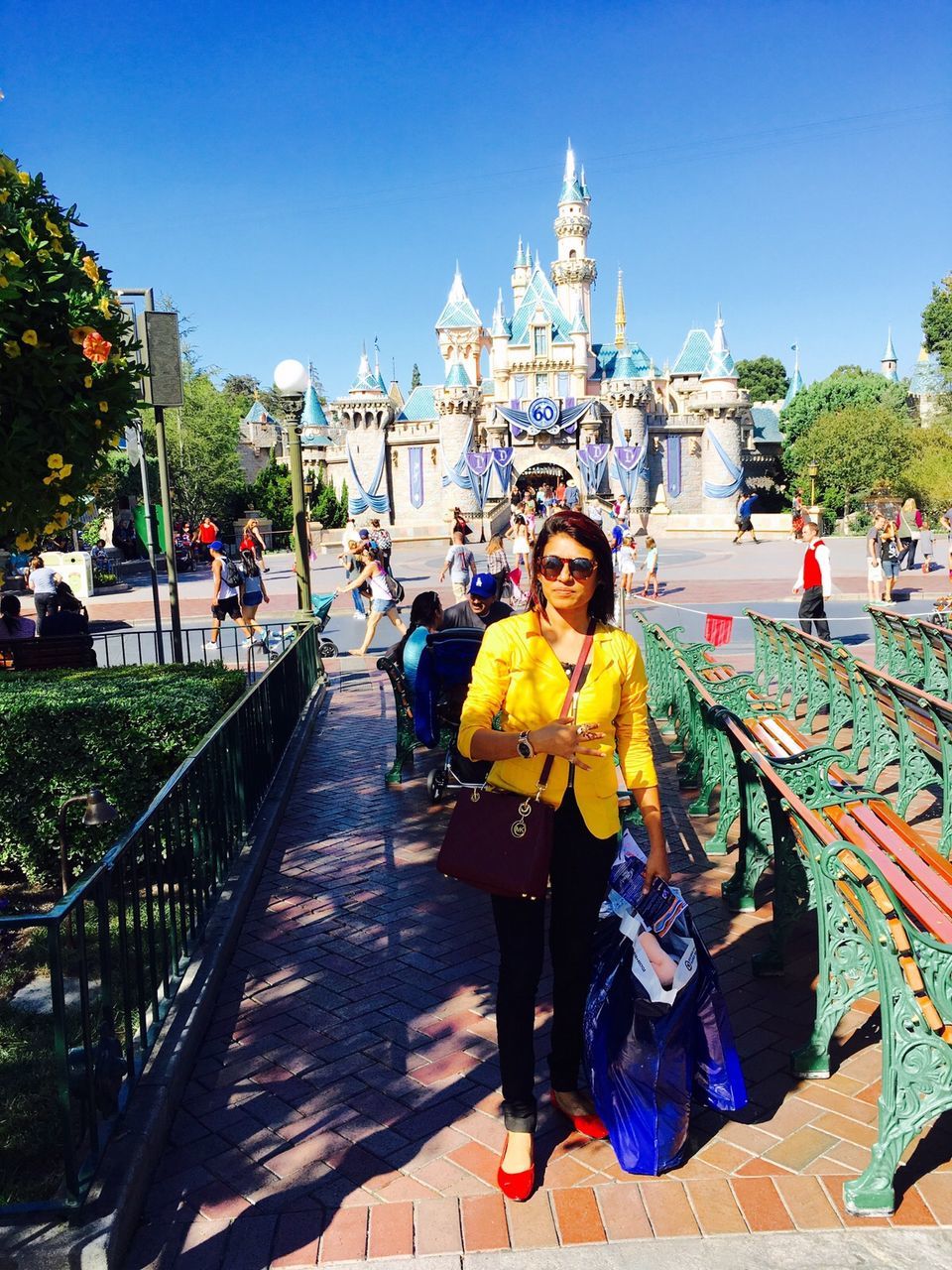 Photo of A Day in Disneyland...The Dreamland by Vandana Goenka