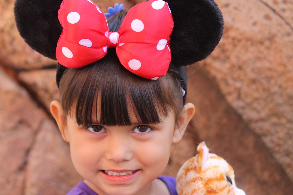 Photo of A Day in Disneyland...The Dreamland by Vandana Goenka