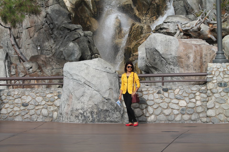 Photo of A Day in Disneyland...The Dreamland by Vandana Goenka