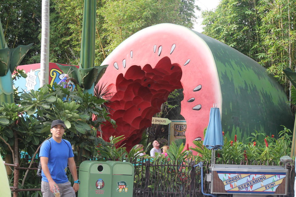 Photo of A Day in Disneyland...The Dreamland by Vandana Goenka