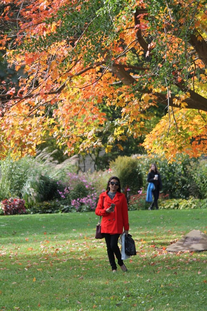 Photo of NewYork to Ontario Niagara Falls 5 days trip by Vandana Goenka