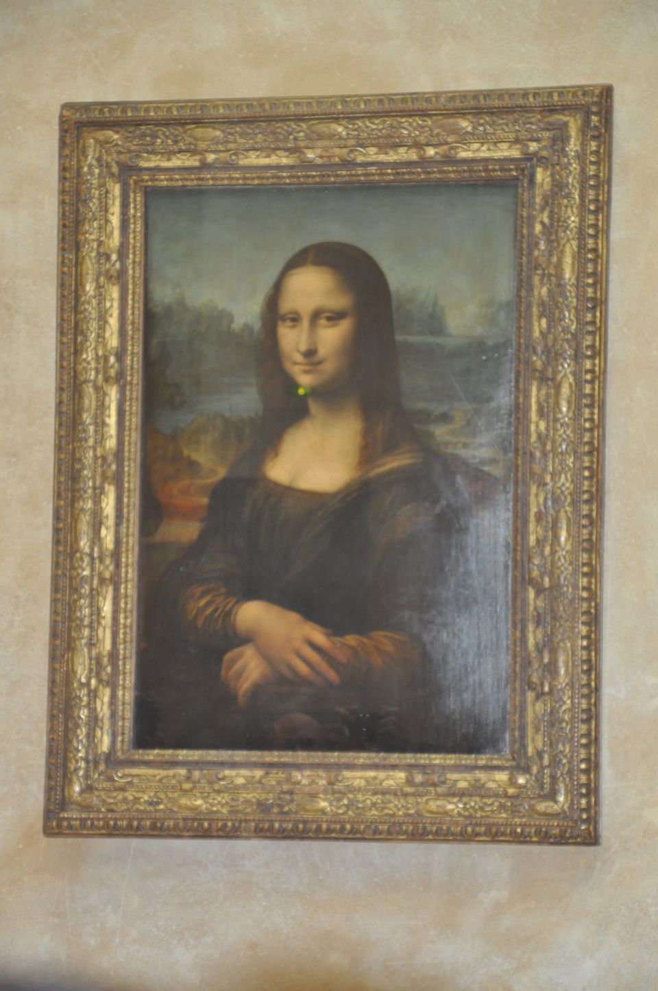 Photo of 8 Top things to do in Paris by Vandana Goenka