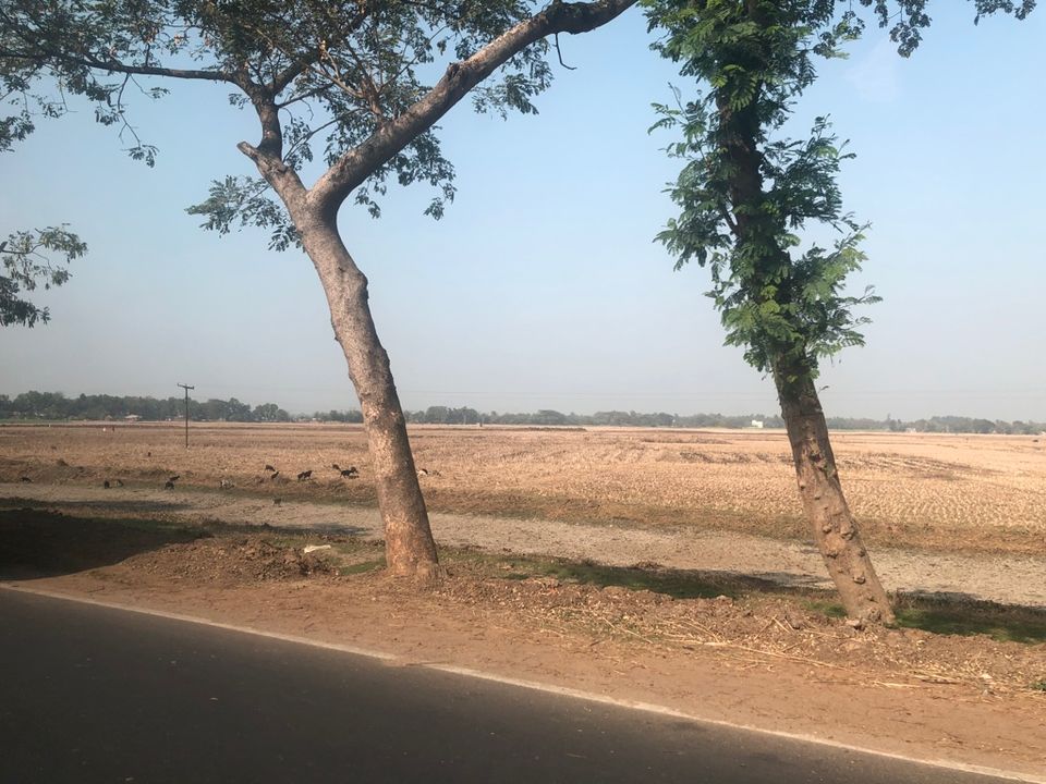Photo of Tarkeshwar A Road Trip To Shiva Temple by Vandana Goenka