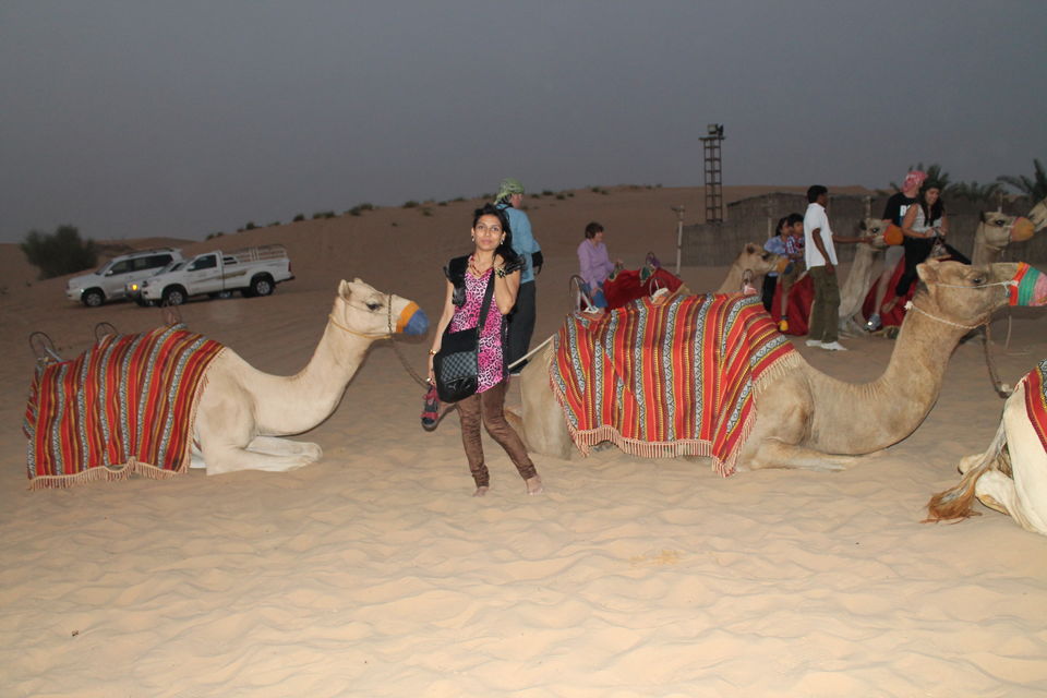 Photo of 8 things to do in Dubai Desert by Vandana Goenka