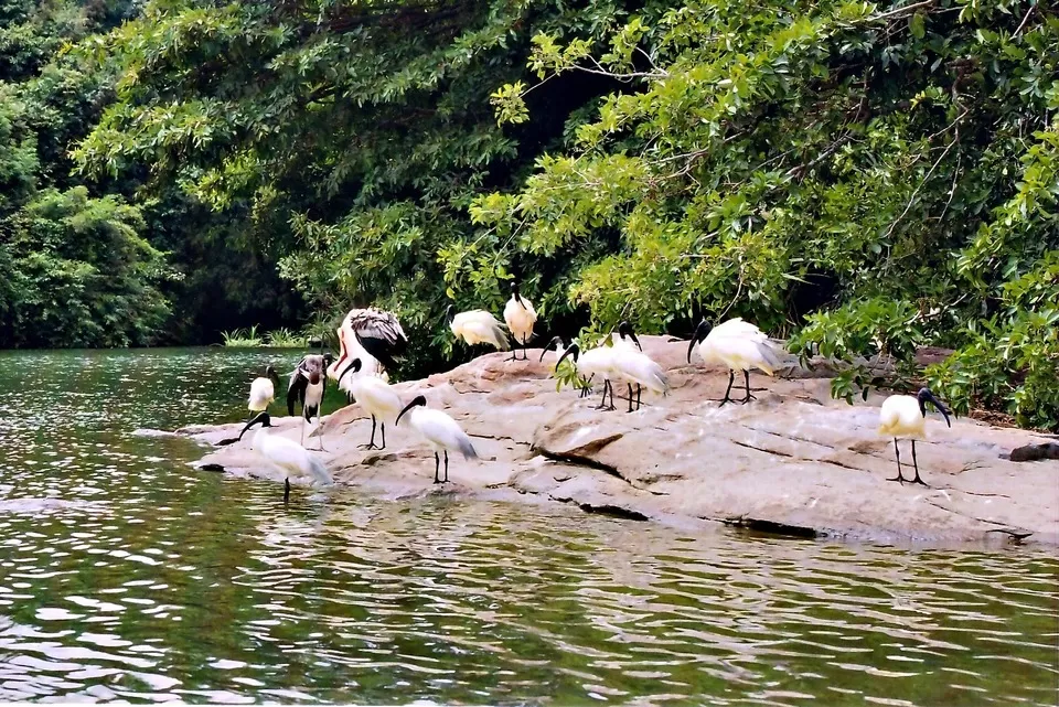 Photo of Mayani Bird Sanctuary, Kankatre, Maharashtra, India by Sreshti Verma