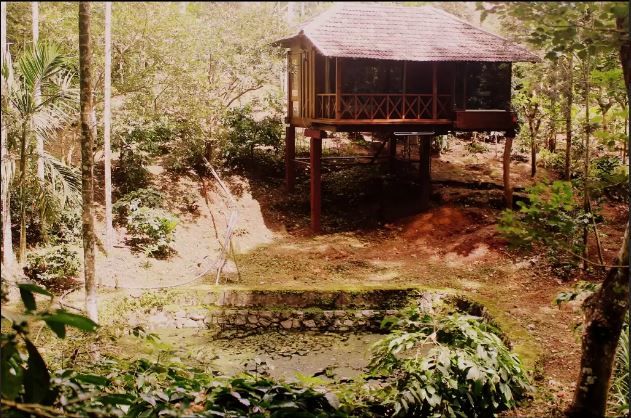 Photo of 10 Homestays That Will Make Coorg Your Dream Destination 25/30 by Sreshti Verma