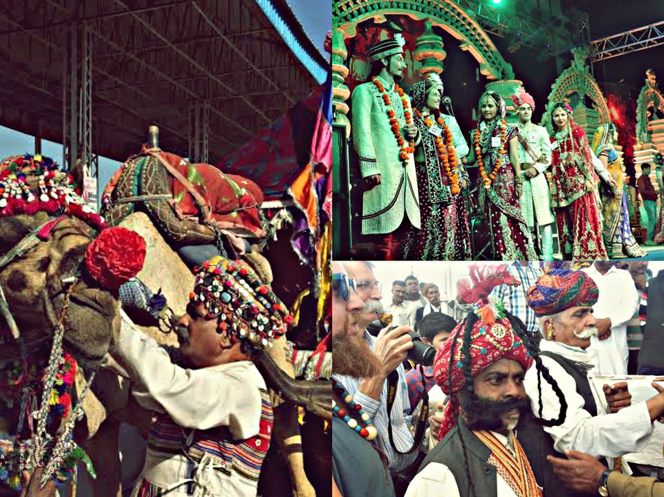 Photo of 10 Reasons Why You Can't Miss The Pushkar Camel Fair This Year! 5/10 by Sreshti Verma