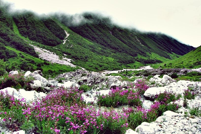 Photo of 12 School Trips That We Wish We Had Done 5/7 by Sreshti Verma