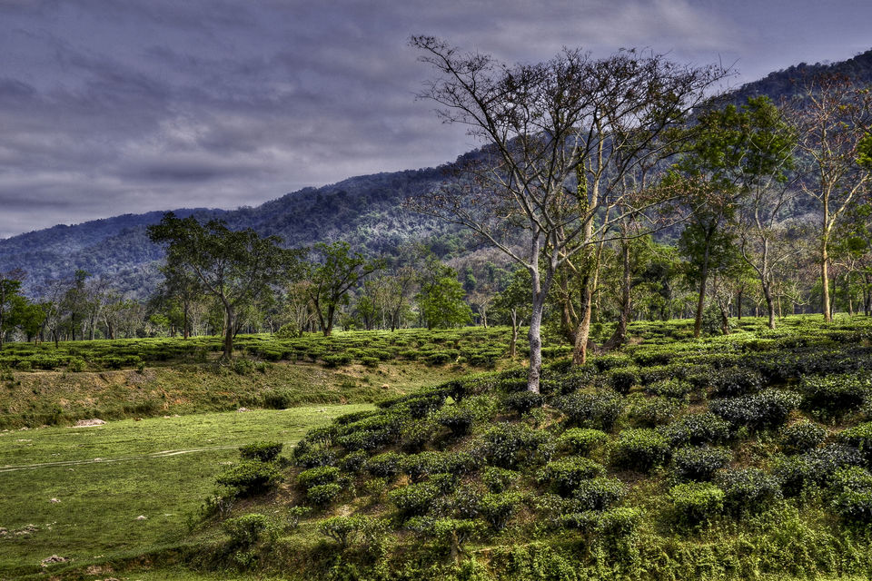 Photo of Assam Is Getting Its Own 'Palace On Wheels' And People Can't Wait To Book It 3/3 by Sreshti Verma