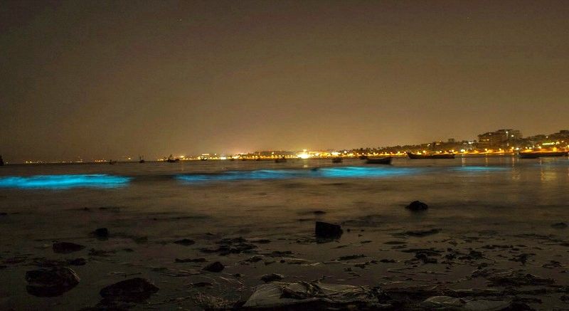 Photo of Head To Juhu Beach TONIGHT To See The Waves Turn Florescent Blue 2/3 by Sreshti Verma