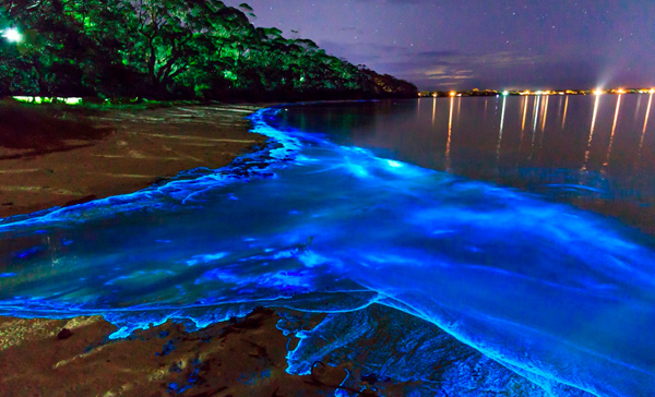 Photo of Head To Juhu Beach TONIGHT To See The Waves Turn Florescent Blue 1/3 by Sreshti Verma