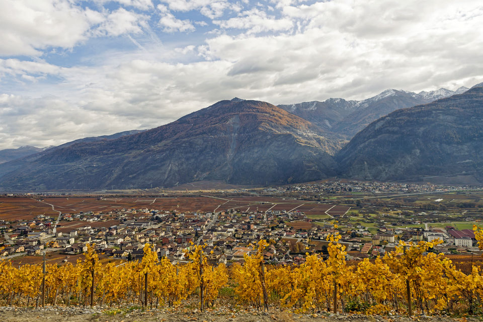 Photo of Rhône, France by Sreshti Verma