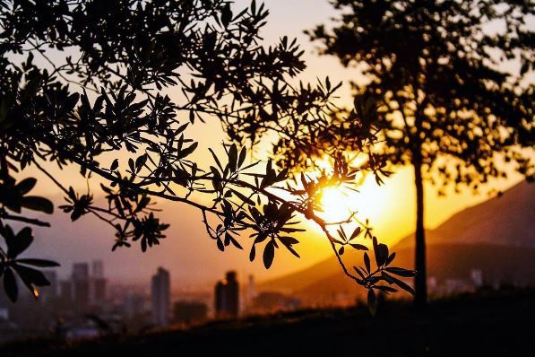 Photo of Things A Budding Travel Photographer Should Keep In Mind Before Buying Their First DSLR 7/16 by Sreshti Verma