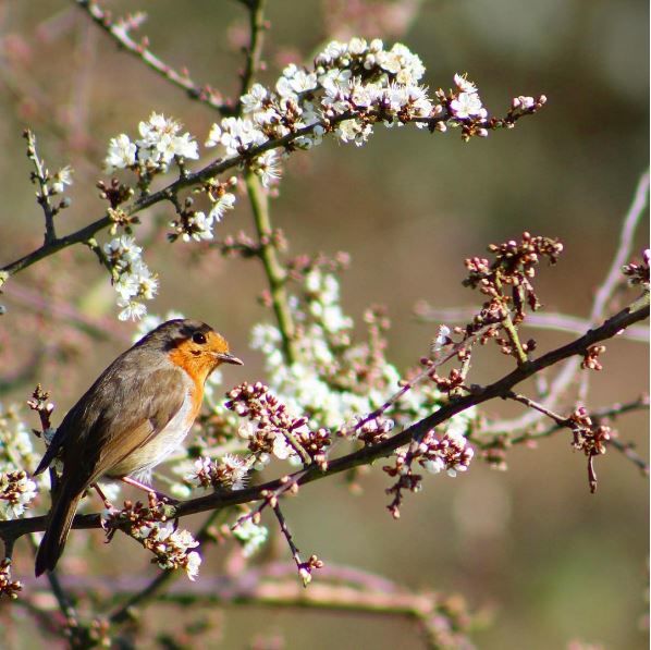 Photo of Things A Budding Travel Photographer Should Keep In Mind Before Buying Their First DSLR 8/16 by Sreshti Verma