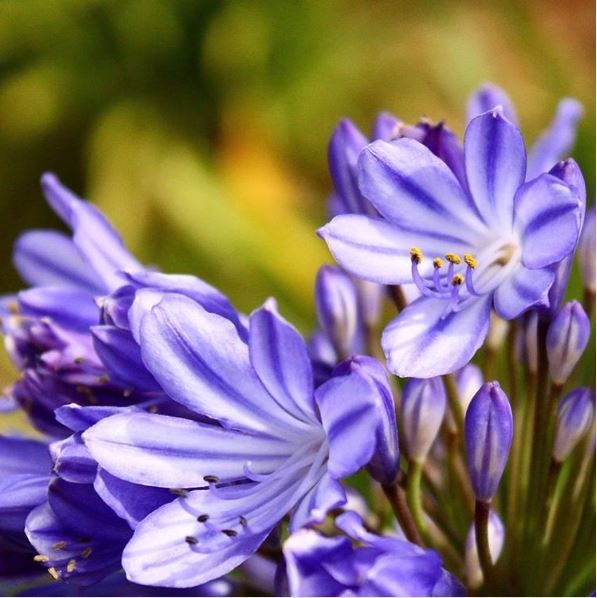Photo of Things A Budding Travel Photographer Should Keep In Mind Before Buying Their First DSLR 13/16 by Sreshti Verma