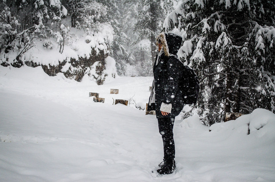 Photo of An Open Letter To Beaches From A Girl Who Can't Stop Loving Mountains 1/4 by Sreshti Verma