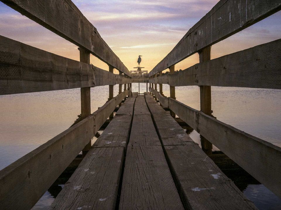 Photo of With 16 Lenses, This Smartphone Is God's Gift To Travellers 4/8 by Sreshti Verma