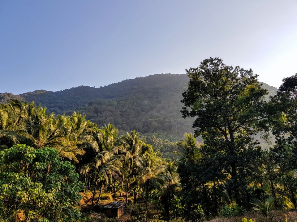 Photo of What Happens When a Mountain Lover Goes to Goa for the First Time by Sreshti Verma
