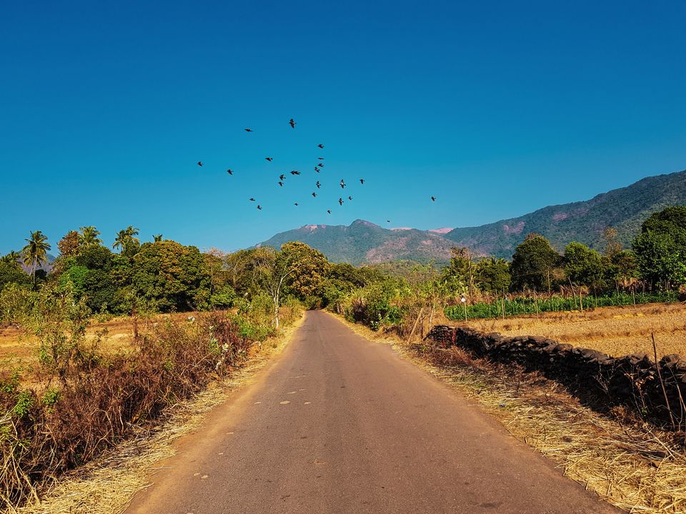 Photo of What Happens When a Mountain Lover Goes to Goa for the First Time 2/2 by Sreshti Verma