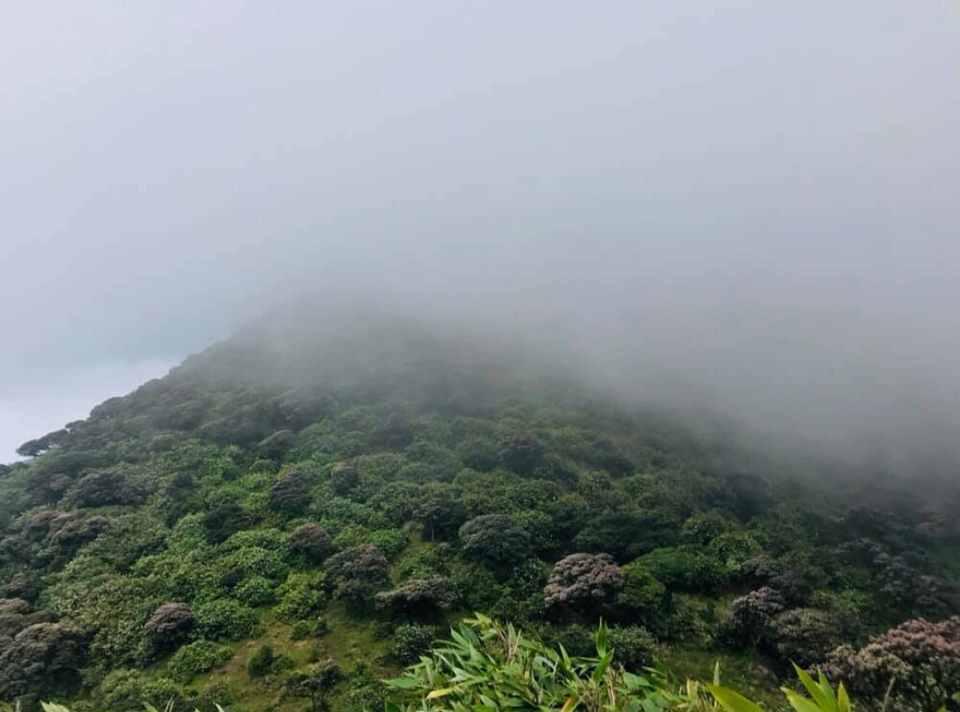 Photo of Wayanad By Shashank KR