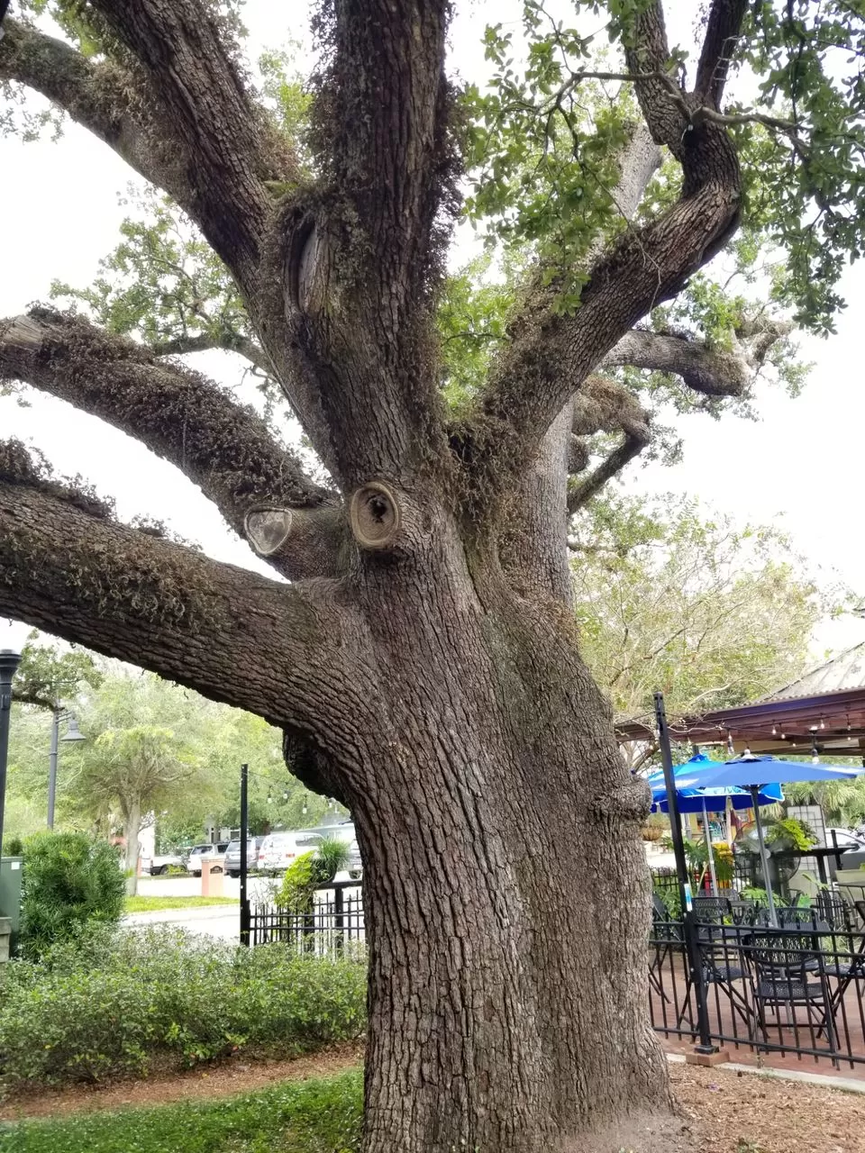 Photo of Biloxi, MS, USA by garima verma