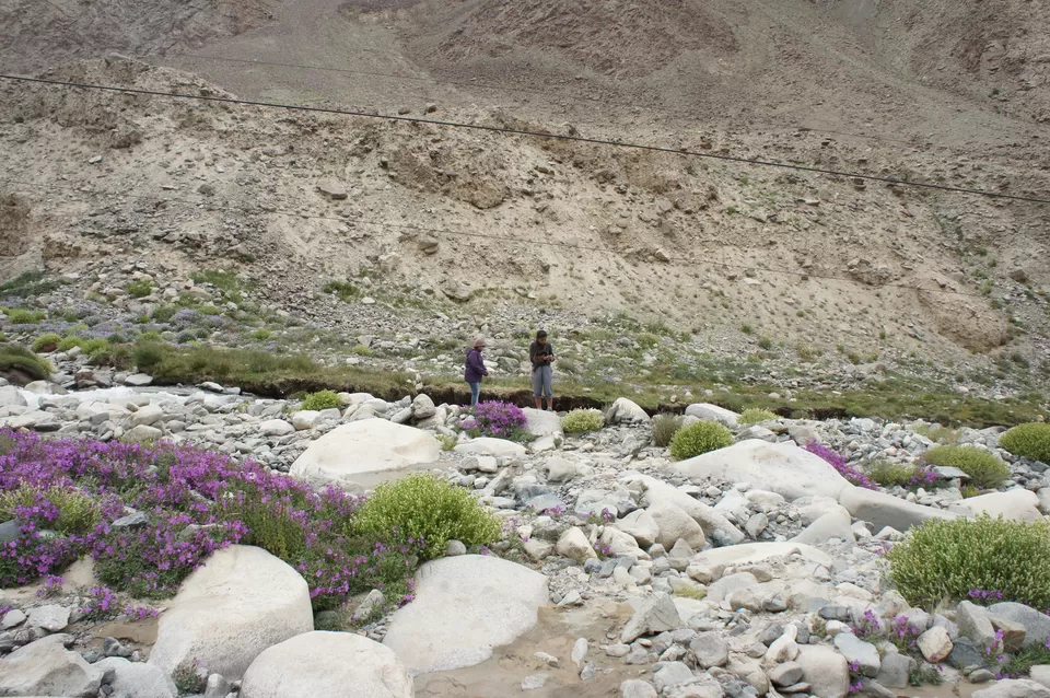 Photo of Pangong Tso by Namratha Acharya