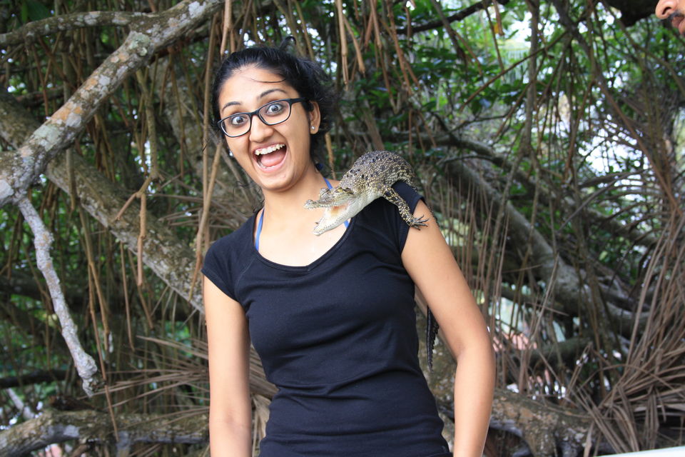 Photo of Escape to the dreamland - a journey down my memory lane by Namratha Acharya
