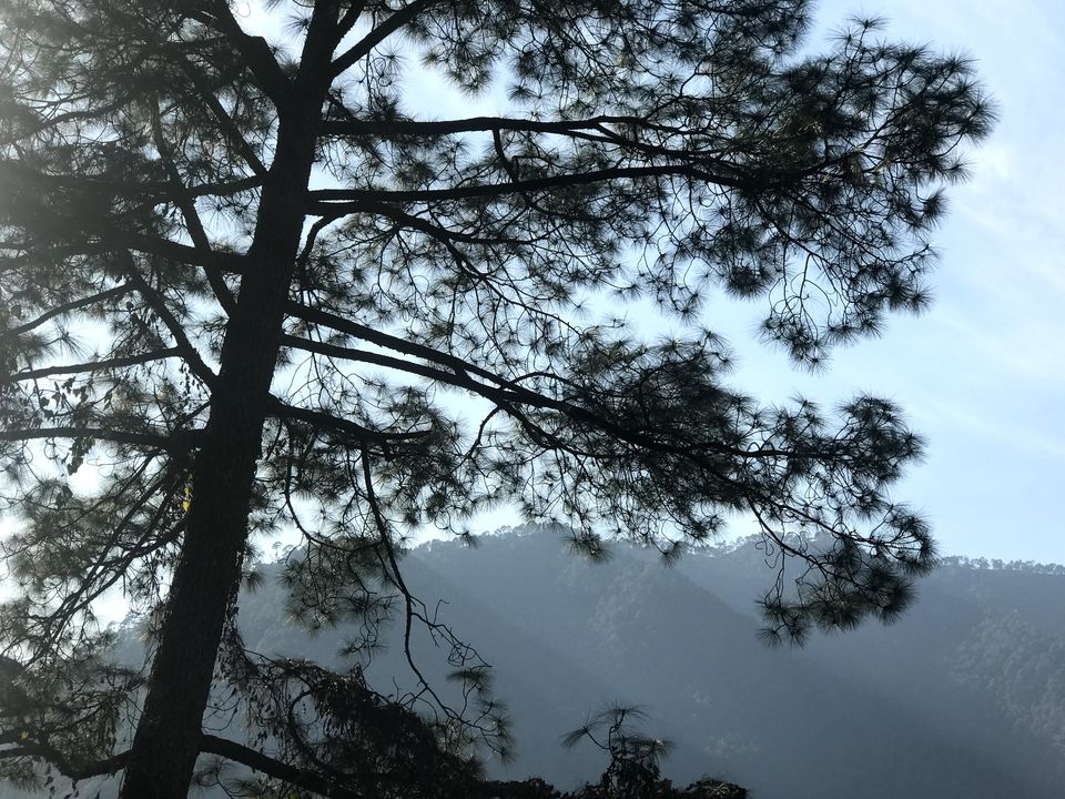 Photo of Dehradun, Uttarakhand, India by Nitish Hardeniya