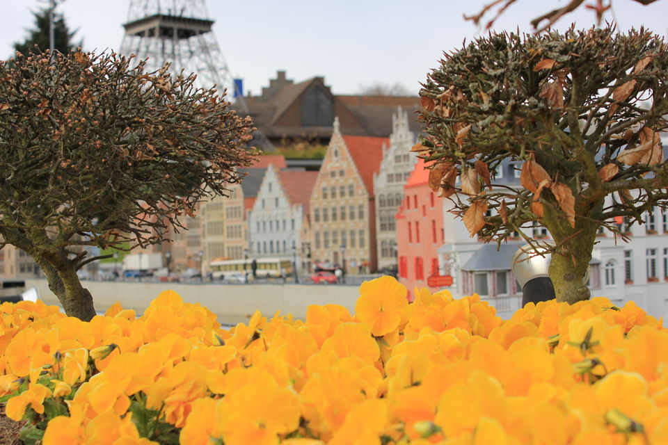 Photo of In the hometown of Tintin 29/44 by Amit