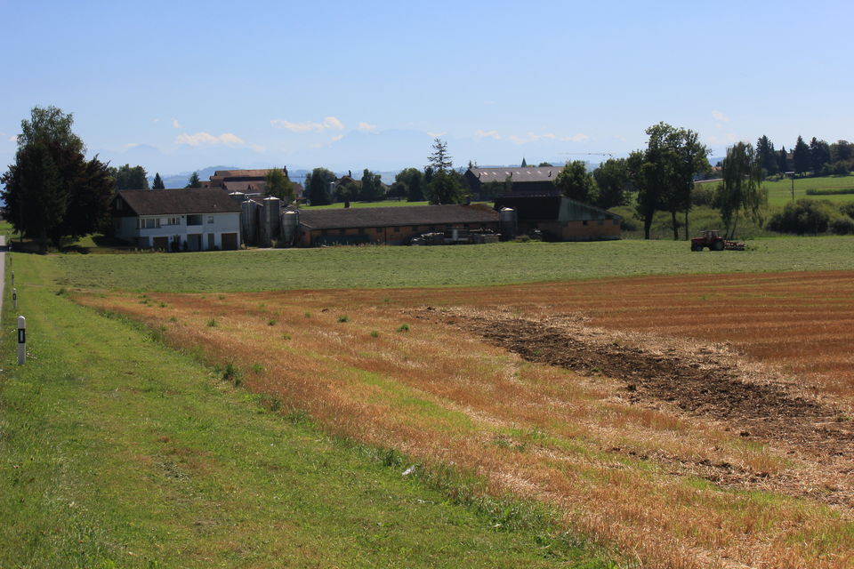 Photo of Biking Bodensee Circuit (Thurgau Cantonment) 6/70 by Amit
