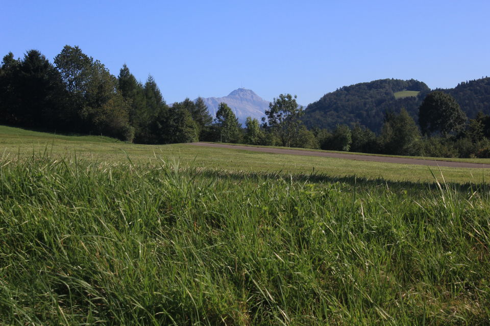 Photo of Biking Bodensee Circuit (Thurgau Cantonment) 13/70 by Amit