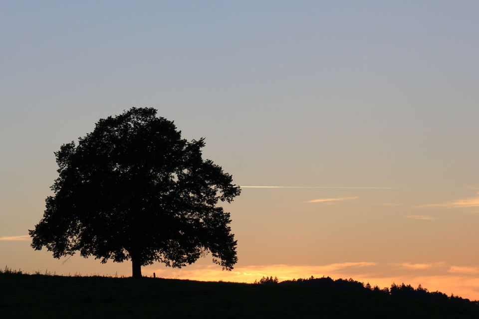Photo of Biking Bodensee Circuit (Thurgau Cantonment) 24/70 by Amit