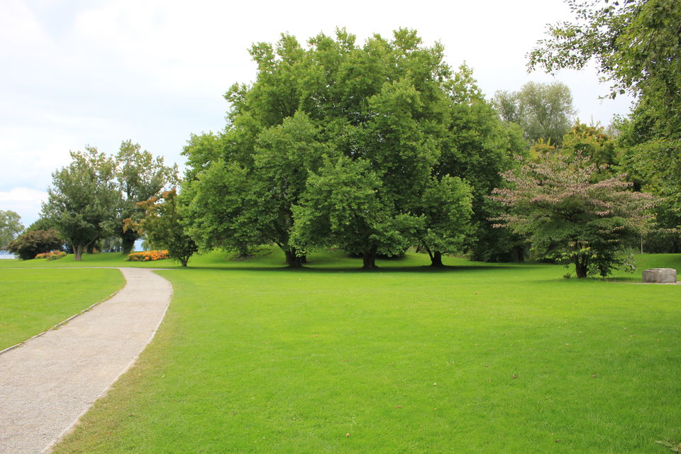 Photo of Biking Bodensee Circuit (Thurgau Cantonment) 29/70 by Amit