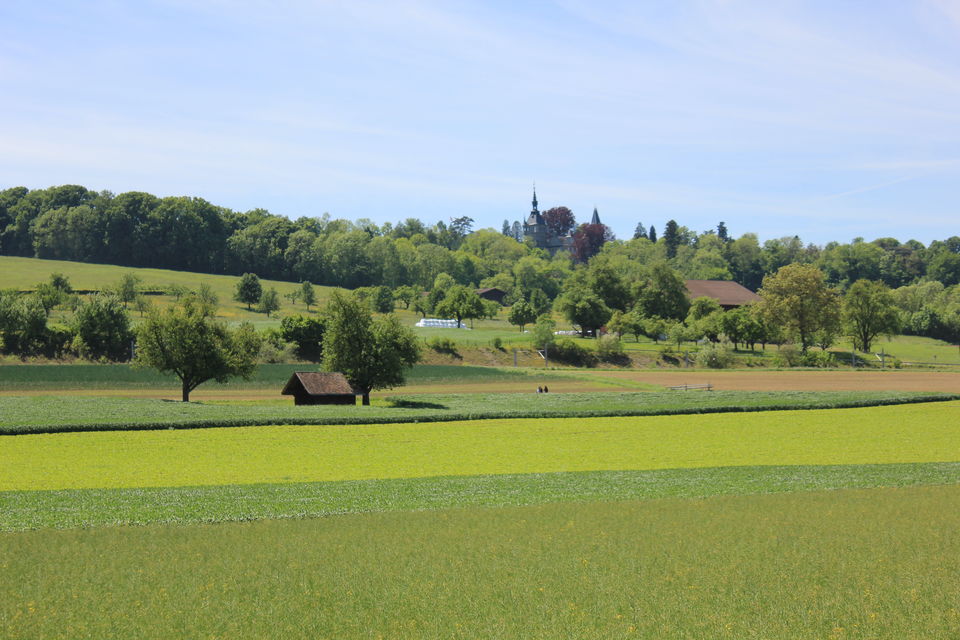 Photo of Biking Bodensee Circuit (Thurgau Cantonment) 31/70 by Amit