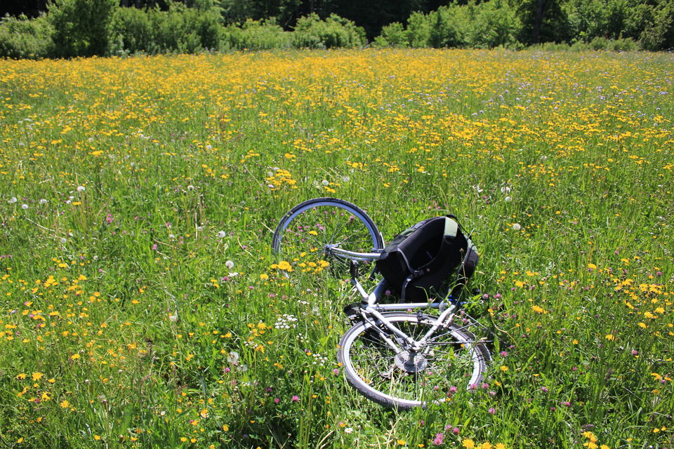 Photo of Biking Bodensee Circuit (Thurgau Cantonment) 36/70 by Amit