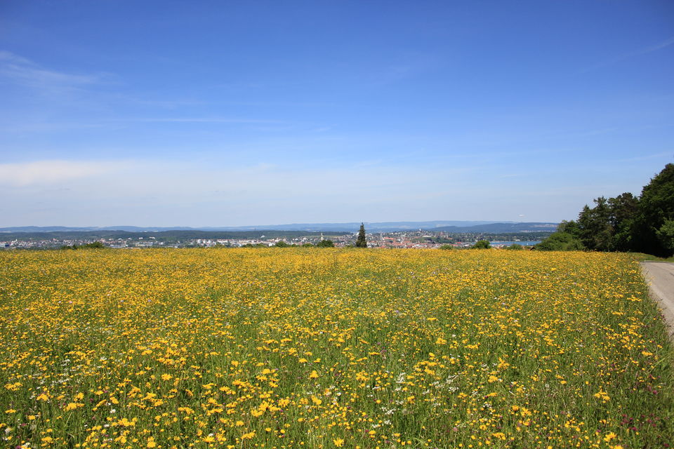 Photo of Biking Bodensee Circuit (Thurgau Cantonment) 38/70 by Amit