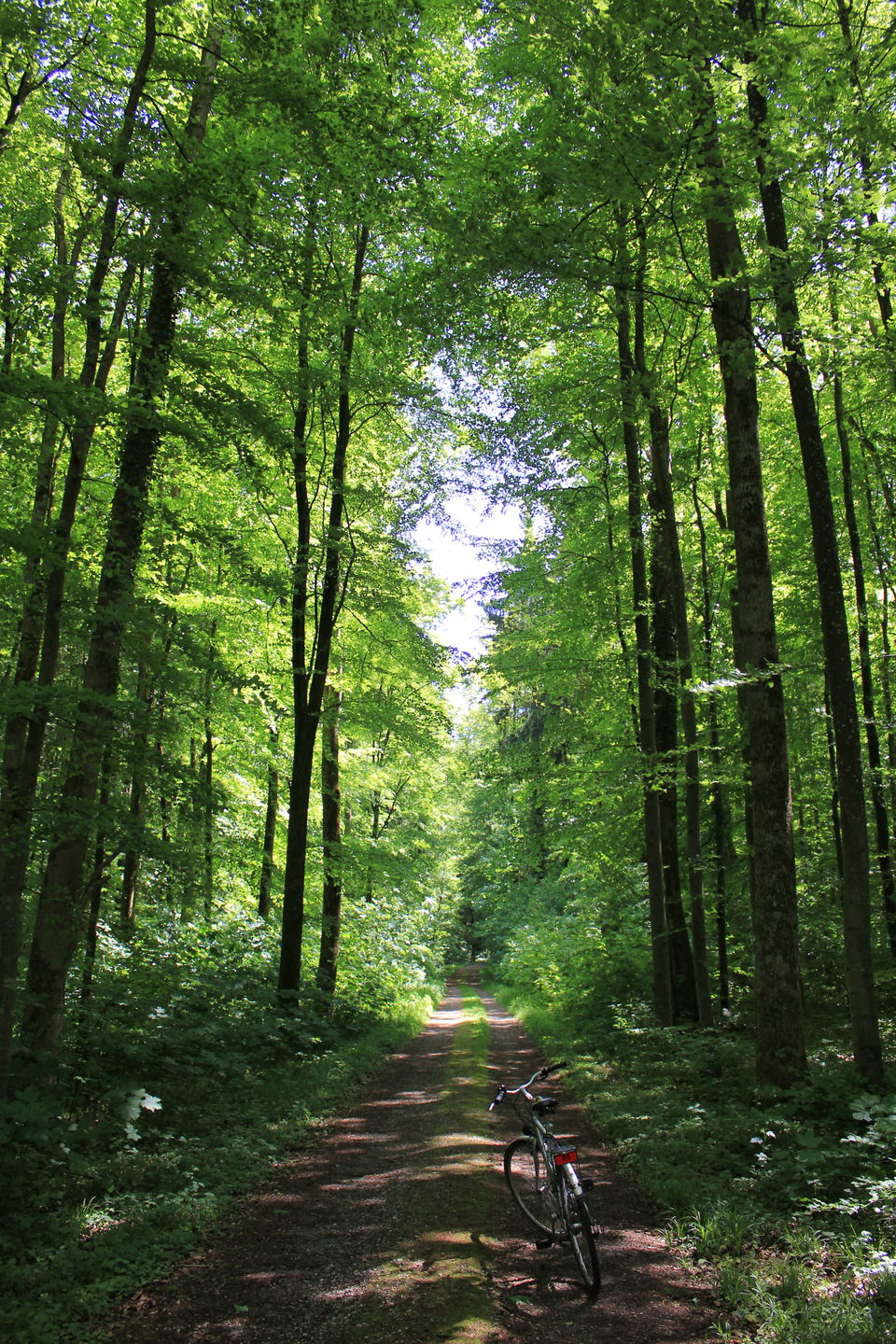 Photo of Biking Bodensee Circuit (Thurgau Cantonment) 40/70 by Amit