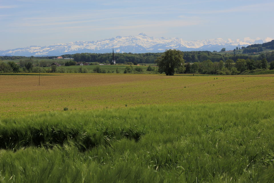 Photo of Biking Bodensee Circuit (Thurgau Cantonment) 43/70 by Amit