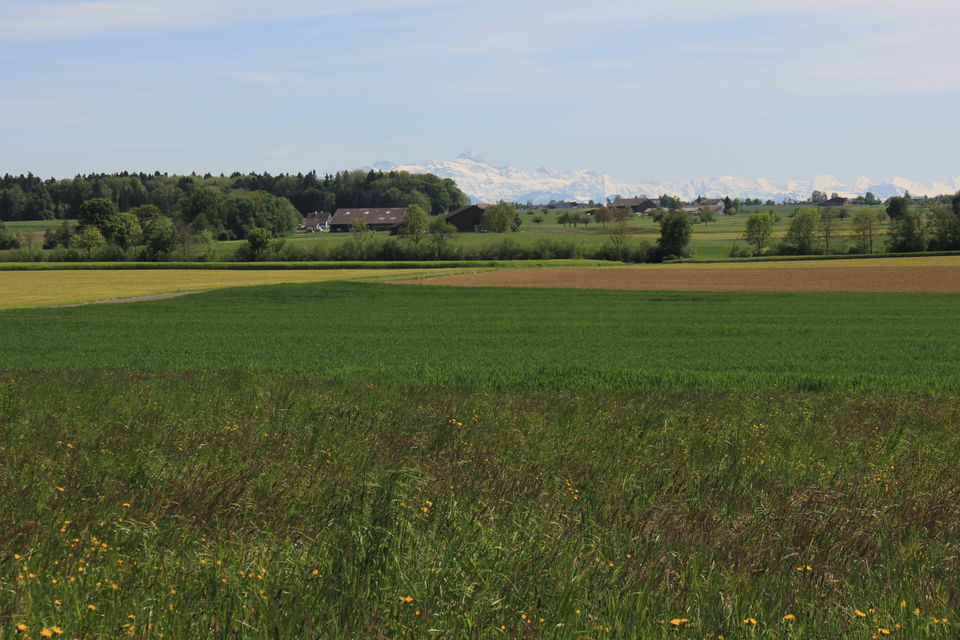 Photo of Biking Bodensee Circuit (Thurgau Cantonment) 44/70 by Amit
