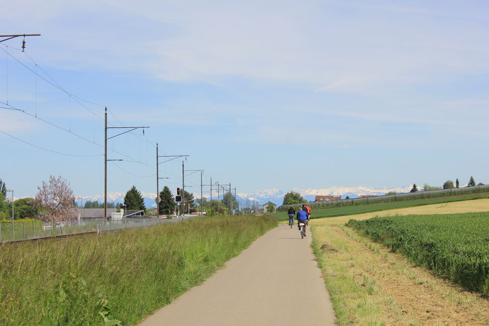 Photo of Biking Bodensee Circuit (Thurgau Cantonment) 46/70 by Amit